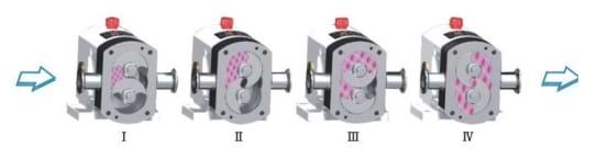 Sanitary Rotor Lobe Pump for Food Pharma