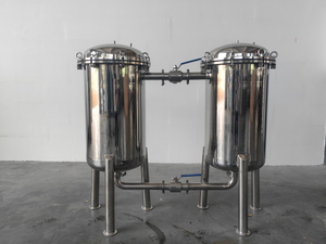 Stainless Steel Duplex Filter 