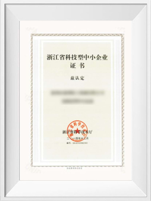 Zhejiang Science and Technology SME Certificate