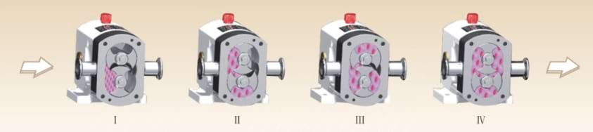 Sanitary Rotor Lobe Pump for Food Pharma
