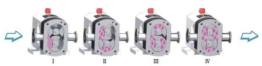 Sanitary Rotor Lobe Pump for Food Pharma